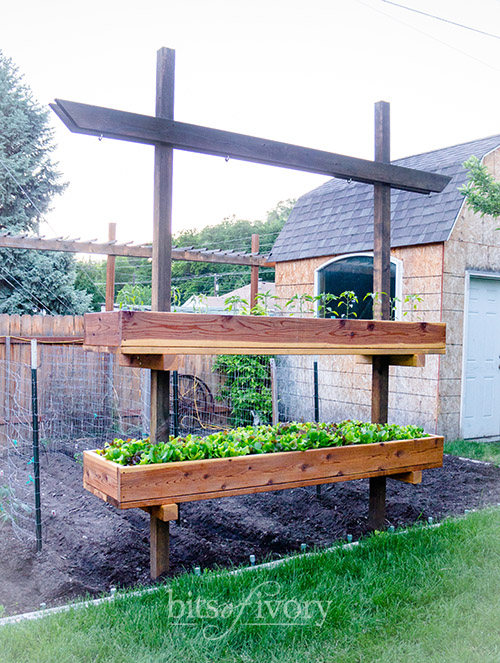 Raised Garden Bed at Bits of Ivory