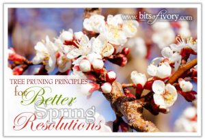 Tree Pruning Principles for Better Spring Resolutions | www.bitsofivory.com